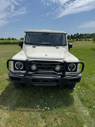 PROTECTION DE CALANDRE SUR PARE-CHOC EUROPEEN